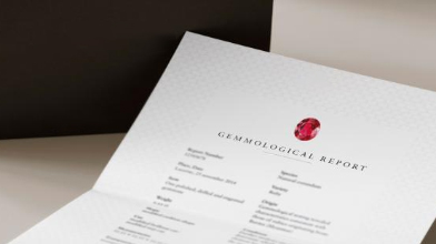 Report Parameters Explained